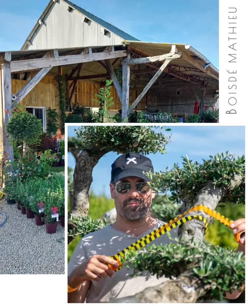 presentation-lmvegetal