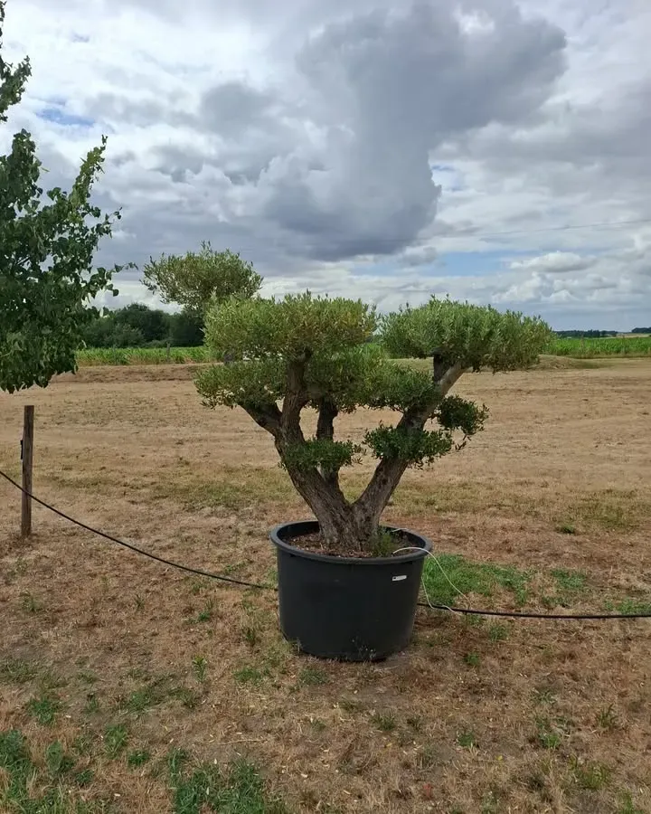 Fermeture estivale & horaires d'été