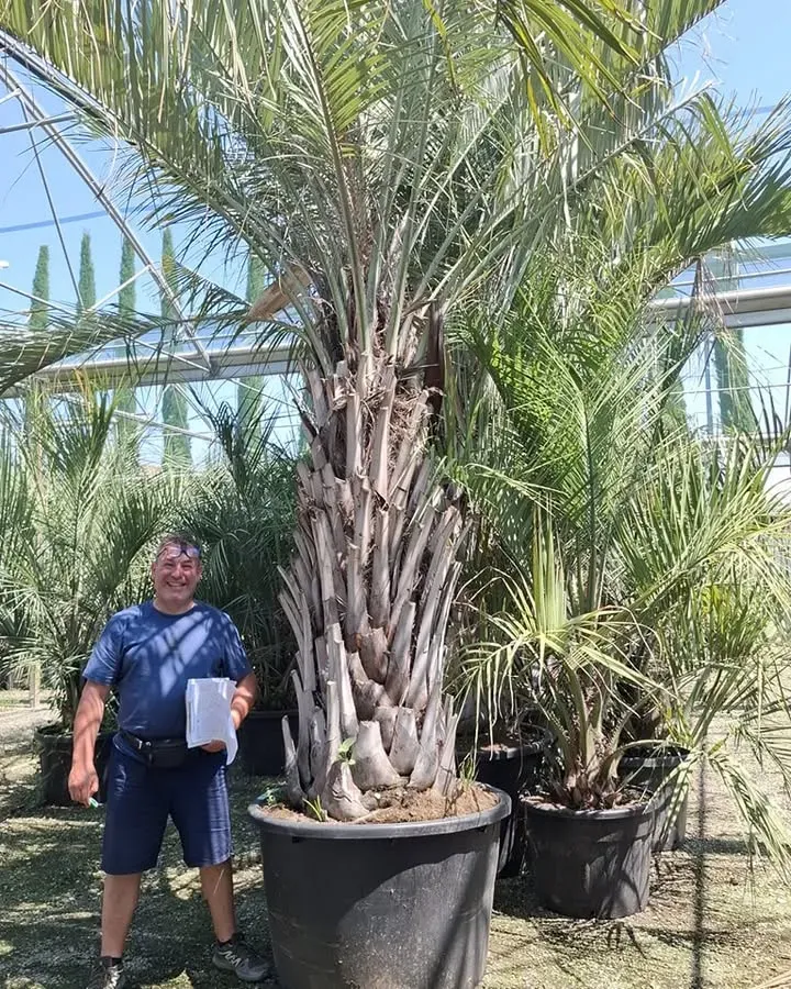 selection-a-florence3